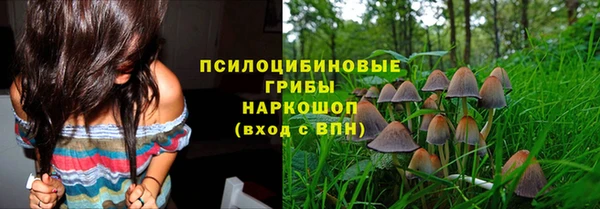 эйфоретик Баксан